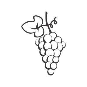 Vinicultura vinos_Variedades